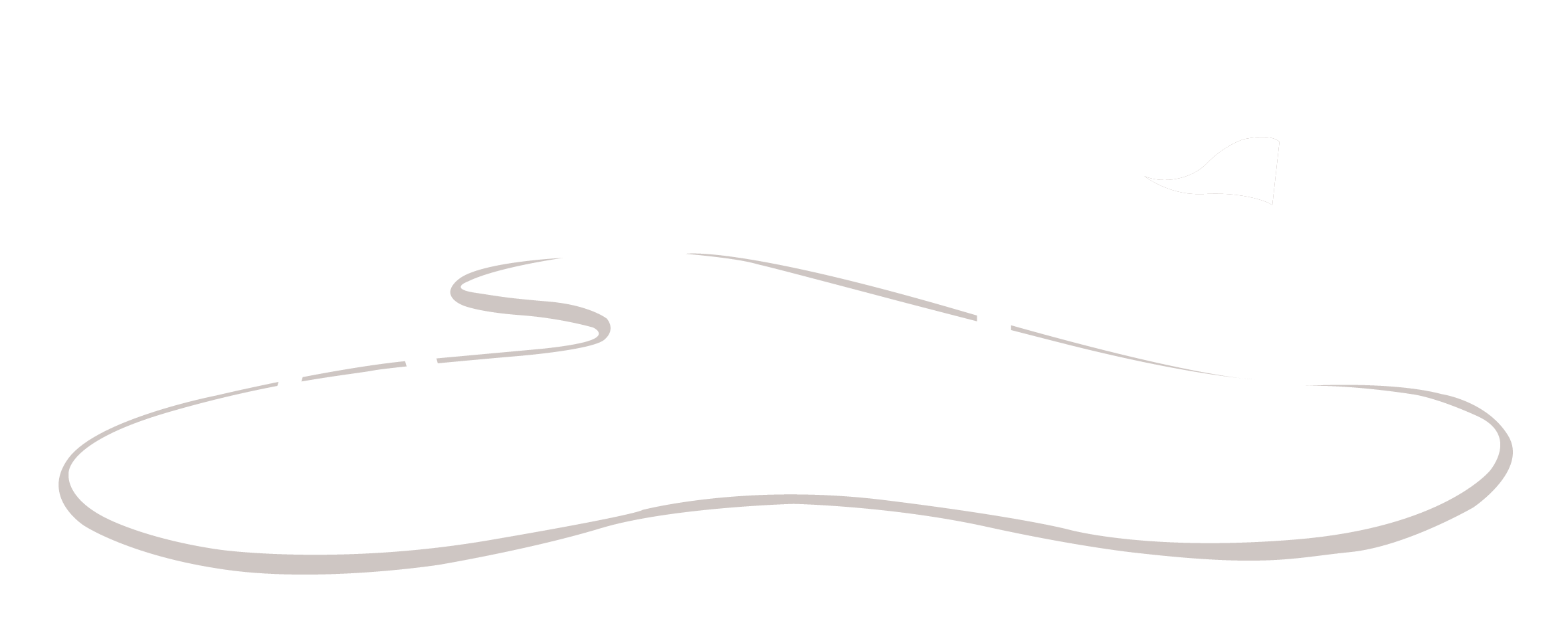 logo dark